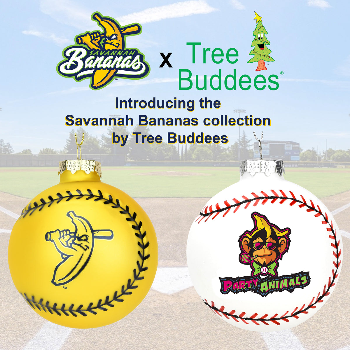 Who has Challenged the Savannah - The Savannah Bananas