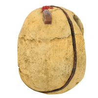 Creepy Pirate Skull Tree Topper For Christmas or Halloween Trees - Large 10"