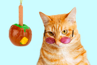 Caramel Apple Food Christmas Ornament Halloween Tree Ornaments