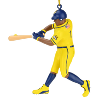 Tree Buddees x Savannah Bananas Player Official Banana Ball Ornament - Limited Edition (Dark Tone Batter - Yellow Jersey)