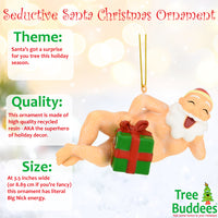 Seductive Santa Funny Naughty Christmas Ornament Decoration