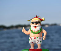 surfing santa claus