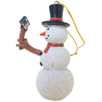 Selfie Stick ornament