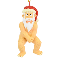 Naked Santa Claus