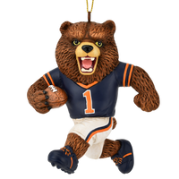 
              Football Playing Brown Bear Sports Collectable Christmas Ornament
            