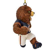 
              Football Playing Brown Bear Sports Collectable Christmas Ornament
            