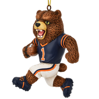 
              Football Playing Brown Bear Sports Collectable Christmas Ornament
            