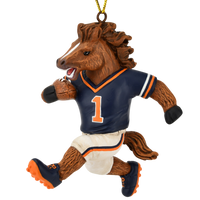 
              Football Playing Horse Sports Collectable Christmas Ornament
            