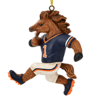 
              Football Playing Horse Sports Collectable Christmas Ornament
            