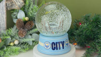 
              Tree Buddees x Manchester City F.C. Official Etihad Stadium Snowglobe Limited Edition Snow Globe Collectable
            