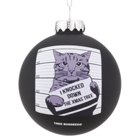 
              funny cat christmas ornaments
            