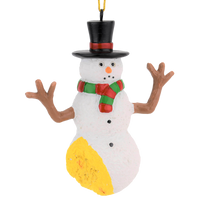 
              funny snowman
            