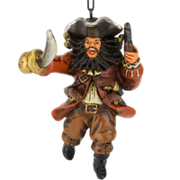
              Blackbeard the pirate
            
