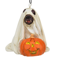 
              Cute Dog Dressed As Ghost with Pumpkin Halloween Ornament
            