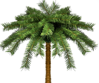 
              50% Off Sale! - 7 Foot Tall Palm Tree Christmas Tree with Sand Colored Skirt
            