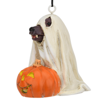 
              Cute Dog Dressed As Ghost with Pumpkin Halloween Ornament
            